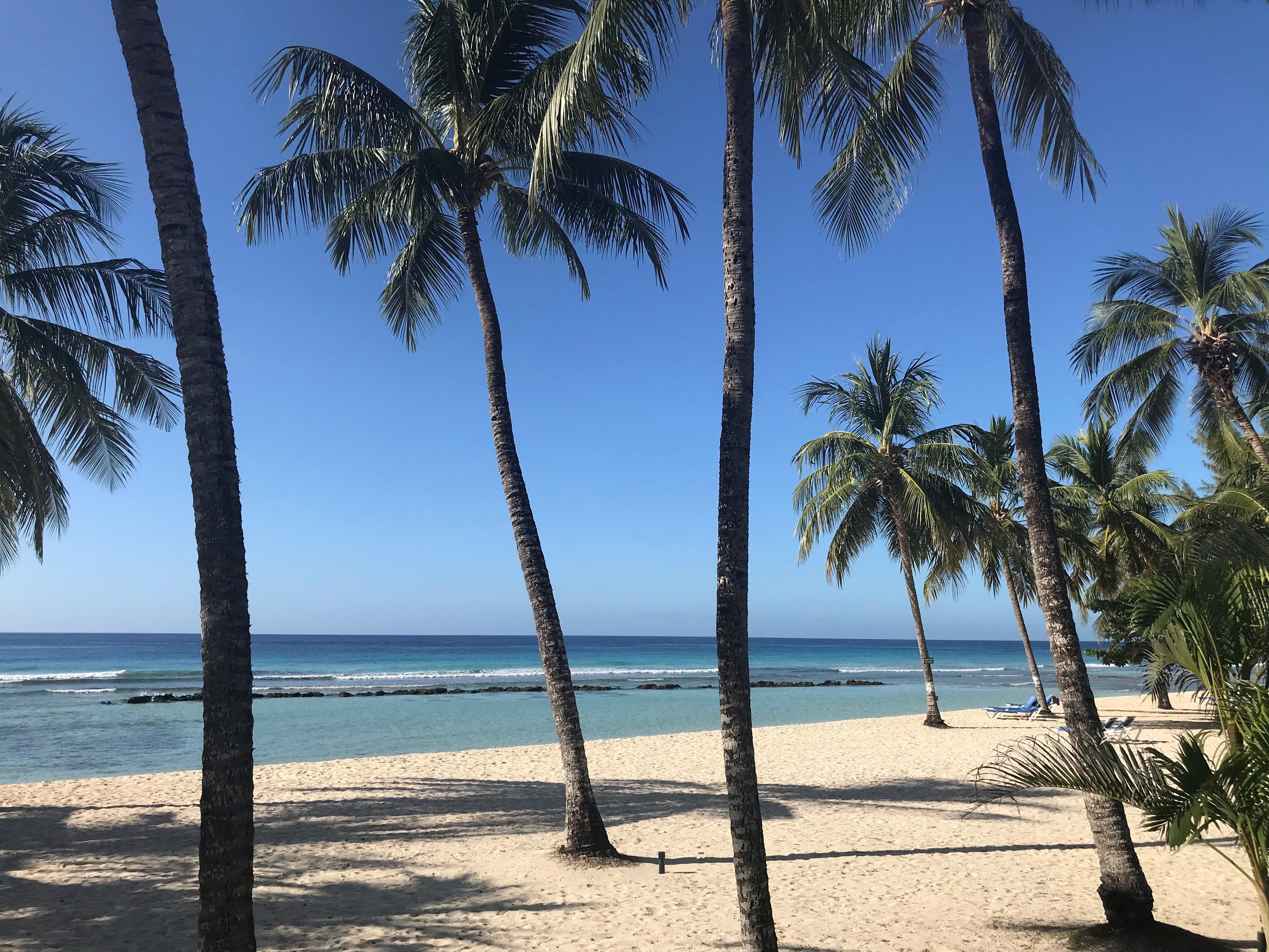 Coconut Court Beach Hotel Крайст-Черч Экстерьер фото