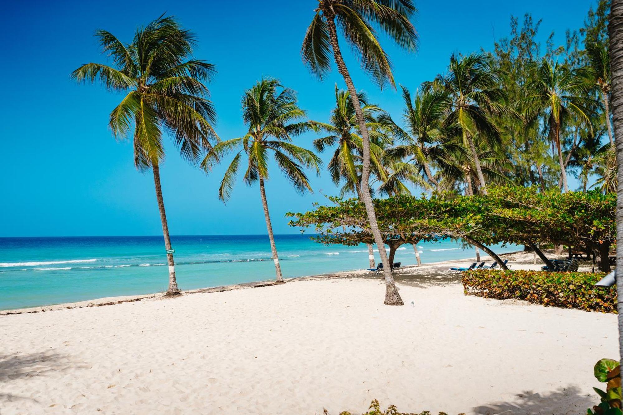 Coconut Court Beach Hotel Крайст-Черч Экстерьер фото